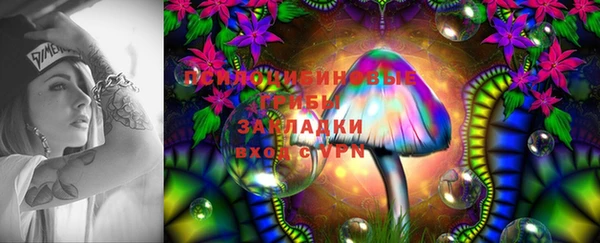 дурь Белокуриха