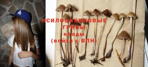 прущая мука Беломорск
