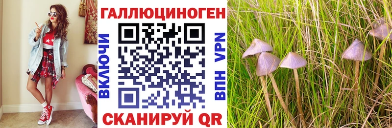 Галлюциногенные грибы MAGIC MUSHROOMS  Североуральск 